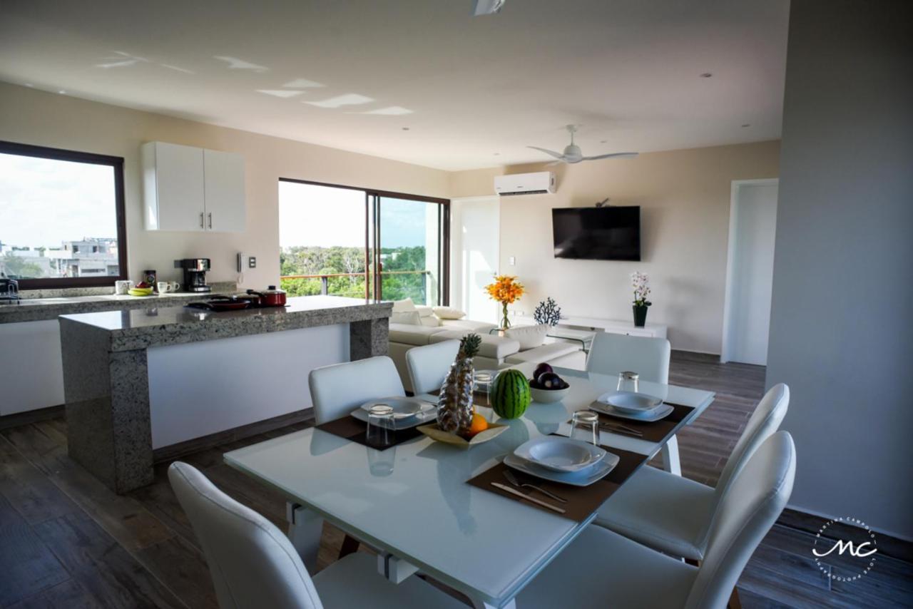 شقة Penthouse Blue Luxury La Veleta تولوم المظهر الخارجي الصورة